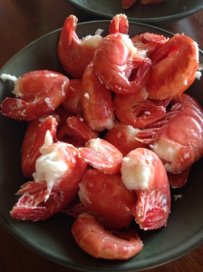 shrimp 2